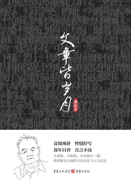 文章皆岁月