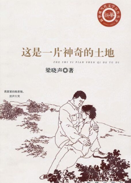 这是一片神奇的土地 (新华现当代文学佳作丛书)