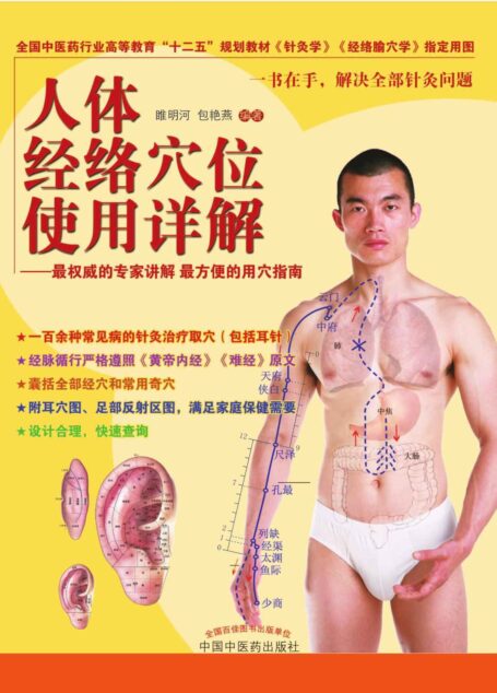 人体经络穴位使用详解