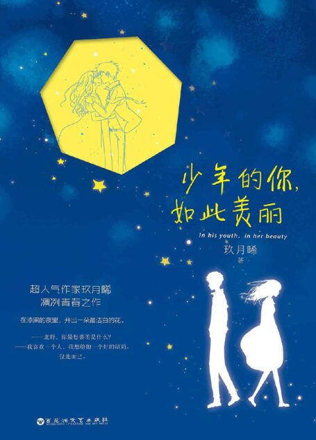 少年的你，如此美丽（无数人渴望过一次邂逅，携手余生；无数人渴望遇到那“我杀人，他放火”的爱情。你有没有为一个人，拼了命地去努力过？）