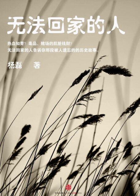 无法回家的人(中国故事)