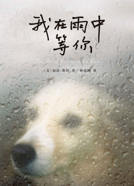 我在雨中等你【长居《纽约时报》畅销榜156周，同名电影2019在美火热上映！如果你好奇你的狗在想什么，这本书给你答案。】