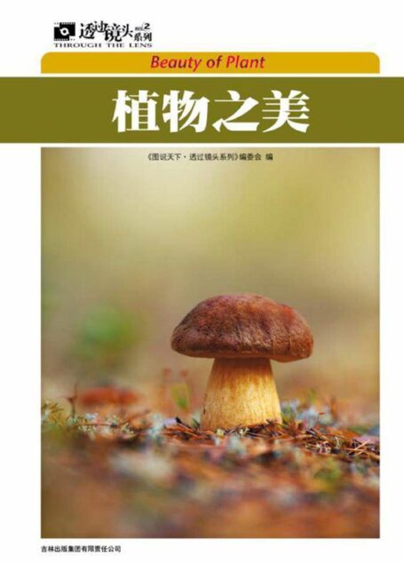 植物之美 (图说天下·透过镜头系列)