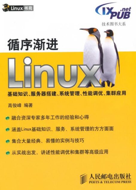 循序渐进Linux基础知识、服务器搭建、系统管理、性能调优、集群应用 (技术图书大系)