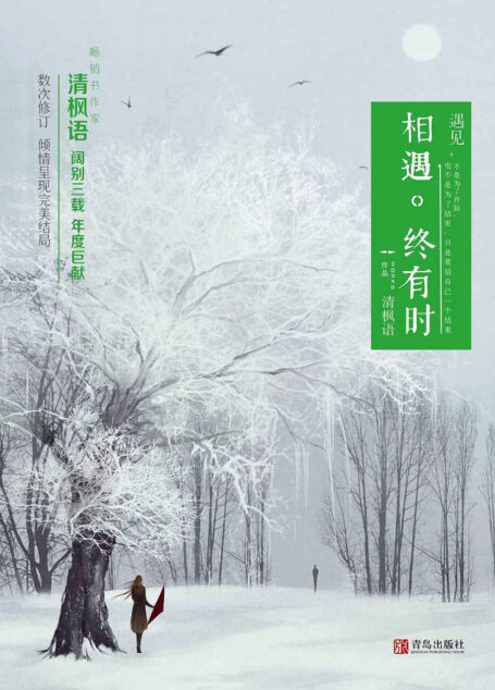 相遇终有时（民俗调研实习生vs宗族族长，温暖的久别重逢。畅销书作家清枫语年度深情力作！）