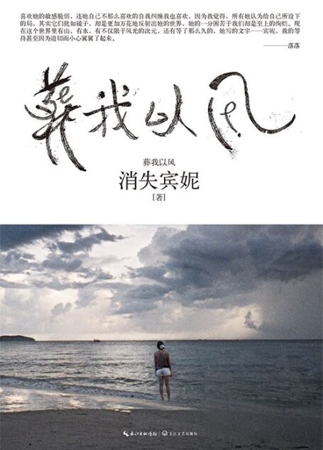 葬我以风