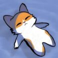 xpy