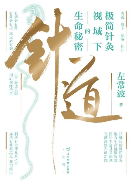 针道:极简针灸视域下的生命秘密