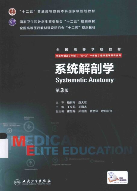 系统解剖学