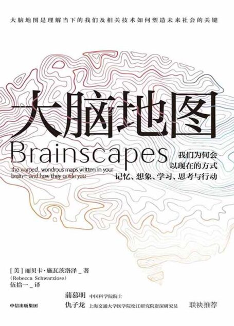 大脑地图