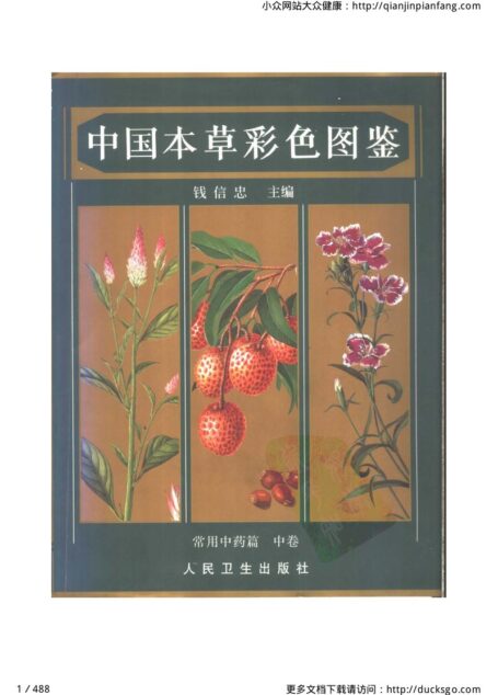 中国本草彩色图鉴(常用中药篇)(中卷)(钱信忠)