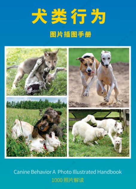 犬类行为:照片插图手册(Canine Behavior A Photo Illustrated Handbook) (Barbara Handelman)
