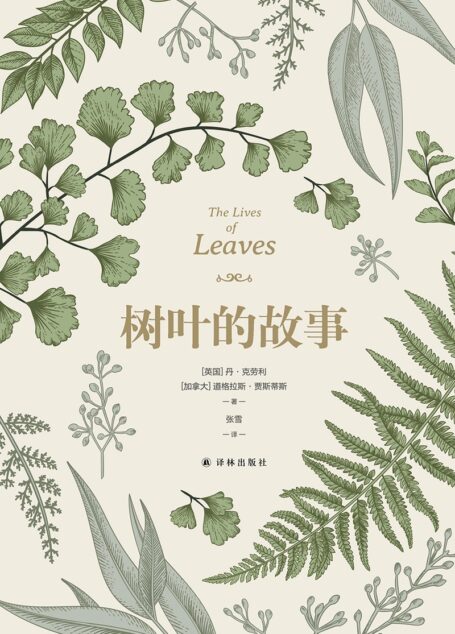 树叶的故事