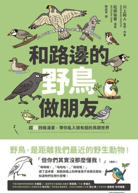 和路邊的野鳥做朋友:超萌四格漫畫,帶你亂入很有戲的鳥類世界