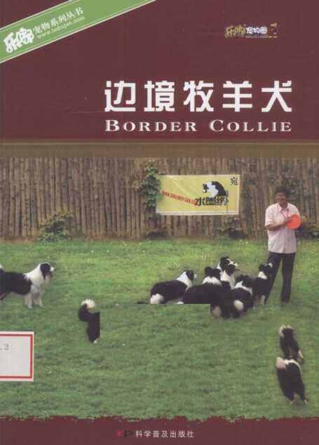 边境牧羊犬 (陈晨著, 陈晨主编 , 宛钺编著)