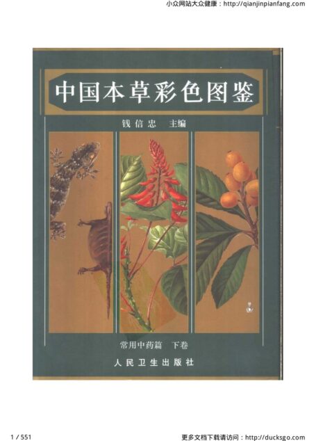 中国本草彩色图鉴(常用中药篇)(下卷)(钱信忠)