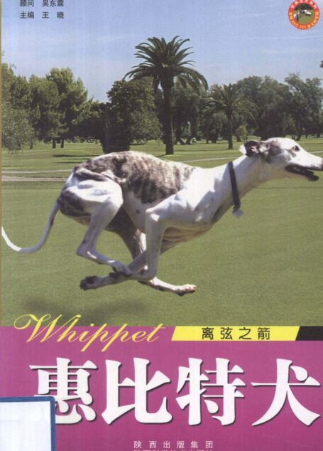 惠比特犬 离弦之箭 (王晓著, 顾问, 吴东霖 , 主编, 王晓)