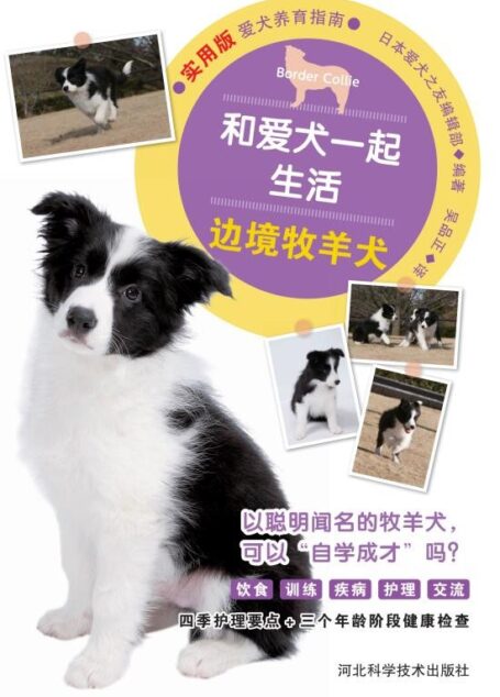 和爱犬一起生活　边境牧羊犬