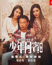 《少年阿宾》(全本+外篇)