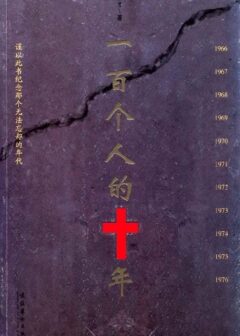 一百个人的十年